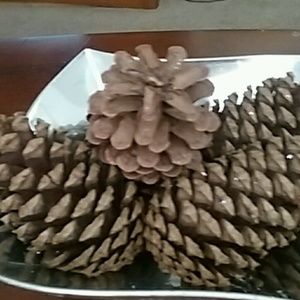 Meet your Posher, Ruby